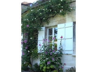 Cottage Cambronne-lès-Ribécourt Outdoor Recording 4