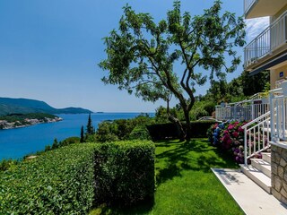 Apartment Molunat  24