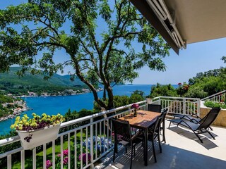 Apartment Molunat  31