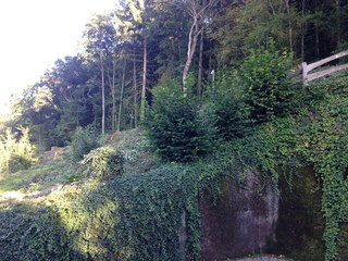 ...direkt an Wand und Wanderwegen
