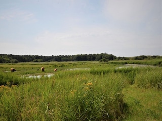 Ferienhaus Callantsoog  18