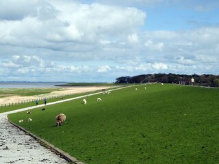 Friesische Weite mit Deichkindern