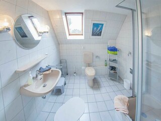 Helles geräumiges Fensterduschbad