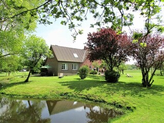 Blick zur Terrasse FeWo Studio - große Freifläche mit Teich