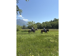 Ferienhaus Colico Umgebung 20