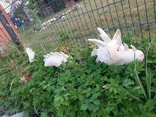 selbstgemachter Drache im Garten