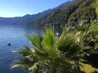 Ferienwohnung Ronco sopra Ascona Außenaufnahme 21