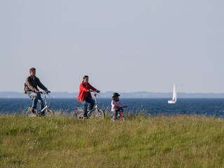 Radler und Segler vor Dänemarks Kulisse