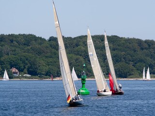 Historische Meteryachten auf der Flensburger Förde