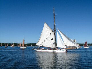 "Rumregatta" auf der Flensburger Förde