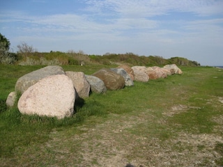 Vakantiehuis Dannemare  5