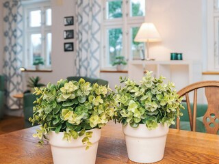Ferienhaus Ribe  40