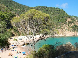 Ferienhaus s'Agaró Umgebung 35