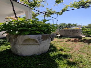 Apartment Doli Outdoor Recording 3