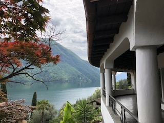 Patio of the common parts