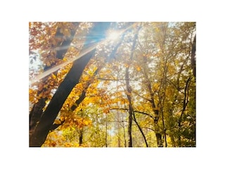 Chalet Doornspijk Umgebung 25