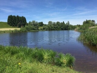 Bädlesee in der Nähe