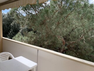 Ferienhaus Albarella Außenaufnahme 1