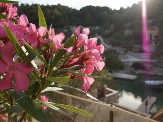 Ferienhaus Vela Luka Außenaufnahme 2