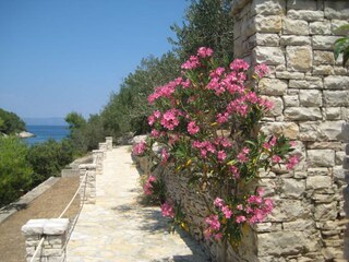 Maison de vacances Vela Luka Enregistrement extérieur 3