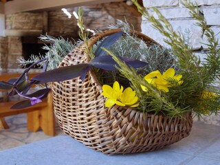 Ferienhaus Vela Luka  33