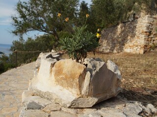 Ferienhaus Vela Luka  48