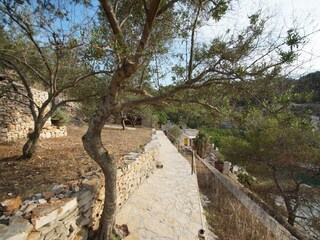 Ferienhaus Vela Luka Außenaufnahme 7