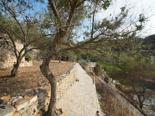 Holiday house Vela Luka Outdoor Recording 5