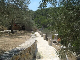 Ferienhaus Vela Luka Außenaufnahme 6