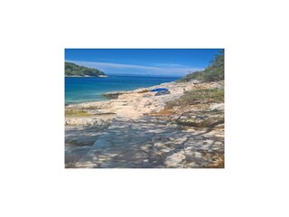 Ferienhaus Vela Luka  41