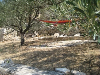 Ferienhaus Vela Luka Außenaufnahme 13