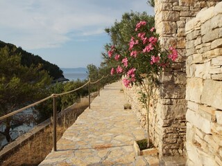 Maison de vacances Vela Luka  59