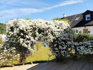 Ferienhaus Anderslöv Außenaufnahme 5