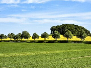 Holiday house Anderslöv  13