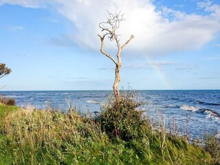 Ferienhaus Anderslöv  23