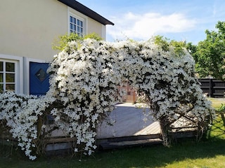 Ferienhaus Anderslöv Außenaufnahme 4