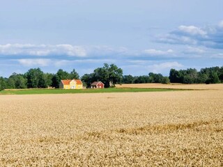 Ferienhaus Visjö Außenaufnahme 8