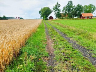 Ferienhaus Visjö Außenaufnahme 4