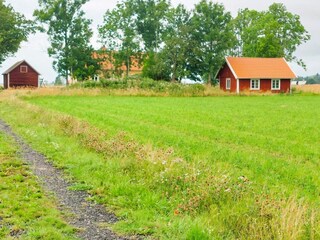 Ferienhaus Visjö Außenaufnahme 11