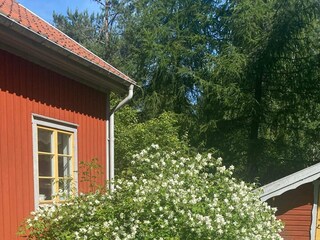 Ferienhaus Nora Außenaufnahme 11