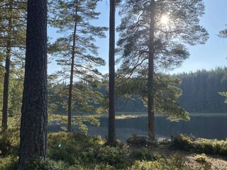 Ferienhaus Nora Außenaufnahme 18