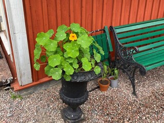 Ferienhaus Nora Außenaufnahme 10