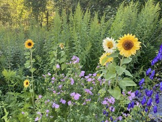 Ferienhaus Nora Außenaufnahme 15