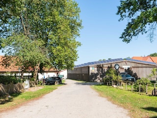Ferienhaus Eschede Umgebung 33