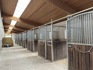 Holiday house Eschede  36