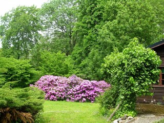 Vakantiehuis Eschede Buitenaudio-opname 6