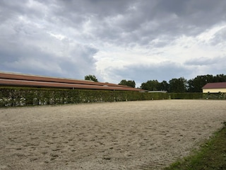 Ferienhaus Eschede  30