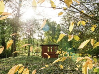 Casa de vacaciones Eschede Entorno 27