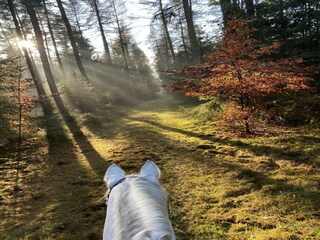 Casa de vacaciones Eschede Entorno 31