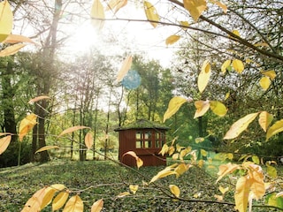 Ferienhaus Eschede Umgebung 24